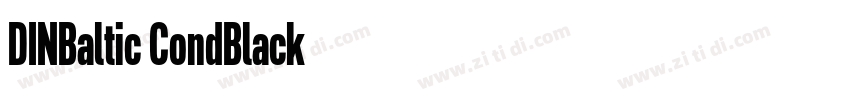 DINBaltic CondBlack字体转换